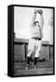 Sherry Magee leaping catch, Philadelphia Phillies, Baseball Photo - Philadelphia, PA-Lantern Press-Framed Stretched Canvas