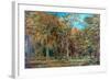 Sherwood Forest-Richard Sebastian Bond-Framed Giclee Print