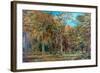 Sherwood Forest-Richard Sebastian Bond-Framed Giclee Print