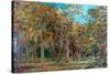 Sherwood Forest-Richard Sebastian Bond-Stretched Canvas