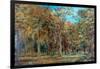 Sherwood Forest-Richard Sebastian Bond-Framed Giclee Print