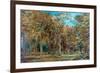 Sherwood Forest-Richard Sebastian Bond-Framed Giclee Print