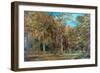 Sherwood Forest-Richard Sebastian Bond-Framed Giclee Print