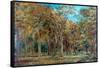 Sherwood Forest-Richard Sebastian Bond-Framed Stretched Canvas