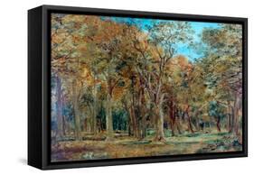 Sherwood Forest-Richard Sebastian Bond-Framed Stretched Canvas