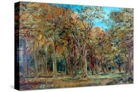 Sherwood Forest-Richard Sebastian Bond-Stretched Canvas