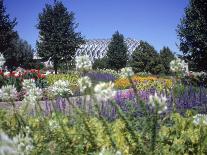 Denver Botanic Gardens, Denver, CO-Sherwood Hoffman-Framed Stretched Canvas