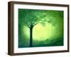 Sherwood-Herb Dickinson-Framed Photographic Print