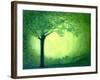 Sherwood-Herb Dickinson-Framed Photographic Print