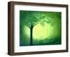 Sherwood-Herb Dickinson-Framed Photographic Print