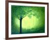 Sherwood-Herb Dickinson-Framed Photographic Print