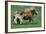 Shetland pony mare with foal-null-Framed Art Print