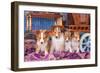 Shetland Sheepdog Puppies Sitting by Small Wooden Wagon-Zandria Muench Beraldo-Framed Photographic Print