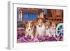 Shetland Sheepdog Puppies Sitting by Small Wooden Wagon-Zandria Muench Beraldo-Framed Photographic Print