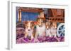 Shetland Sheepdog Puppies Sitting by Small Wooden Wagon-Zandria Muench Beraldo-Framed Photographic Print