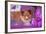 Shetland Sheepdog Puppy Lying in Purple-Zandria Muench Beraldo-Framed Photographic Print