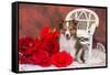 Shetland Sheepdog Sitting by a White Wicker Chair with Red Roses-Zandria Muench Beraldo-Framed Stretched Canvas