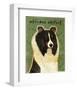 Shetland Sheepdog (Tri-Color)-John W^ Golden-Framed Art Print