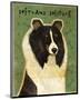Shetland Sheepdog (Tri-Color)-John W^ Golden-Mounted Art Print