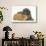 Shetland Sheepdog X Poodle Puppy, 7 Weeks, with Guinea Pig-Mark Taylor-Stretched Canvas displayed on a wall