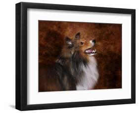 Shetland Sheepdog-Jai Johnson-Framed Premium Giclee Print