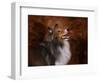 Shetland Sheepdog-Jai Johnson-Framed Giclee Print