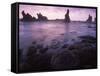 Shi Shi Beach, Olympic National Park, UNESCO World Heritage Site, Washington State, USA-Colin Brynn-Framed Stretched Canvas