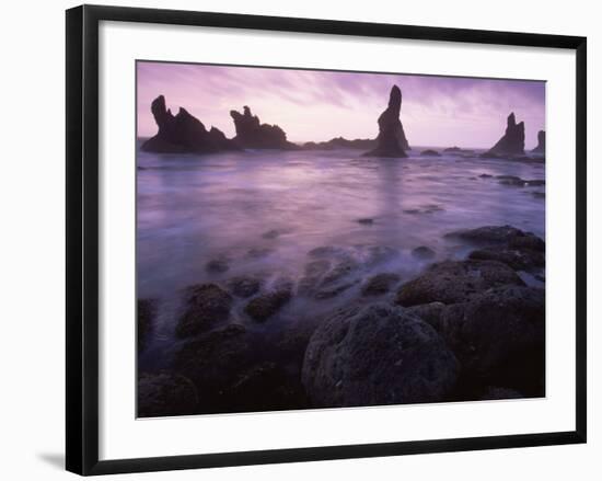 Shi Shi Beach, Olympic National Park, UNESCO World Heritage Site, Washington State, USA-Colin Brynn-Framed Photographic Print