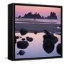 Shi Shi Beach, Olympic National Park, Washington, USA-Charles Gurche-Framed Stretched Canvas