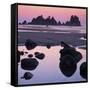 Shi Shi Beach, Olympic National Park, Washington, USA-Charles Gurche-Framed Stretched Canvas