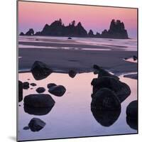 Shi Shi Beach, Olympic National Park, Washington, USA-Charles Gurche-Mounted Photographic Print