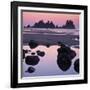 Shi Shi Beach, Olympic National Park, Washington, USA-Charles Gurche-Framed Photographic Print