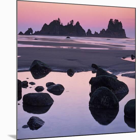 Shi Shi Beach, Olympic National Park, Washington, USA-Charles Gurche-Mounted Photographic Print