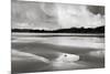Shi Shi Beach Sunse Crop-Alan Majchrowicz-Mounted Premium Giclee Print