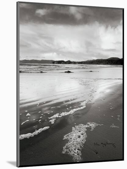 Shi Shi Beach-Alan Majchrowicz-Mounted Art Print
