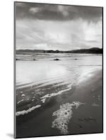 Shi Shi Beach-Alan Majchrowicz-Mounted Art Print