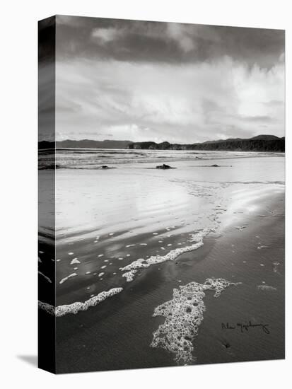 Shi Shi Beach-Alan Majchrowicz-Stretched Canvas
