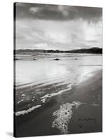 Shi Shi Beach-Alan Majchrowicz-Stretched Canvas