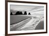 Shi Shi Point of Arches Crop-Alan Majchrowicz-Framed Premium Giclee Print