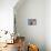 Shiba Inu Portrait-Adriano Bacchella-Stretched Canvas displayed on a wall