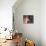 Shiba Inu Profile-Adriano Bacchella-Stretched Canvas displayed on a wall
