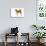 Shiba Inu-null-Photographic Print displayed on a wall