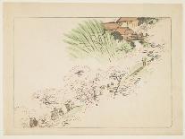 'Lacquer drawing on paper by Zeshin', 19th century-Shibata Zeshin-Giclee Print