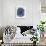 Shibori Circle I-Elizabeth Medley-Framed Art Print displayed on a wall