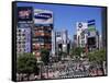 Shibuya, Tokyo, Japan-null-Framed Stretched Canvas