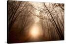 Stretched Canvas