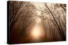Stretched Canvas