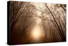 Stretched Canvas
