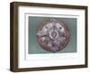 Shield Presented to the Prince and Princess of Prussia, 19th Century-John Burley Waring-Framed Giclee Print