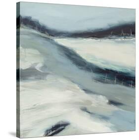 Shifting Sands-Beth Wintgens-Stretched Canvas